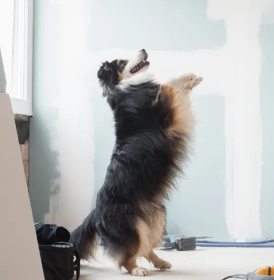 Revêtements muraux pour moderniser votre intérieur.