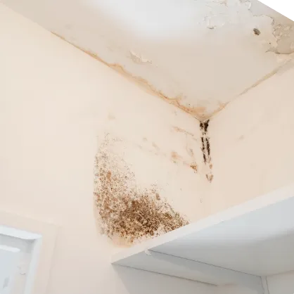 Rénovation d’appartement ou maison en Savoie : confiez votre projet à SR Rénovation.