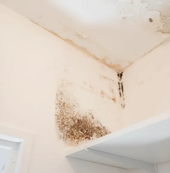 Installation et rénovation électrique intérieure à Chambéry.